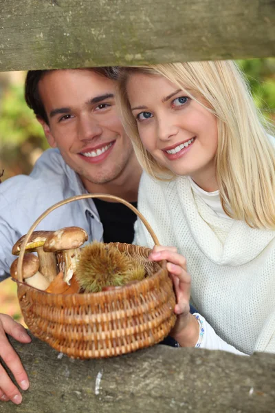 Couple collecting mushrooms and chestnuts in the forest — Stock Photo, Image