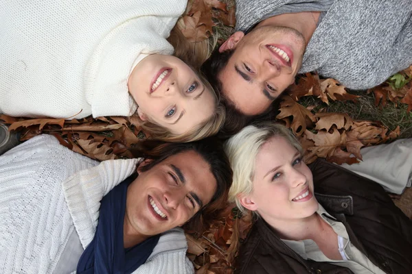 4 молодых головы в траве осенью — стоковое фото