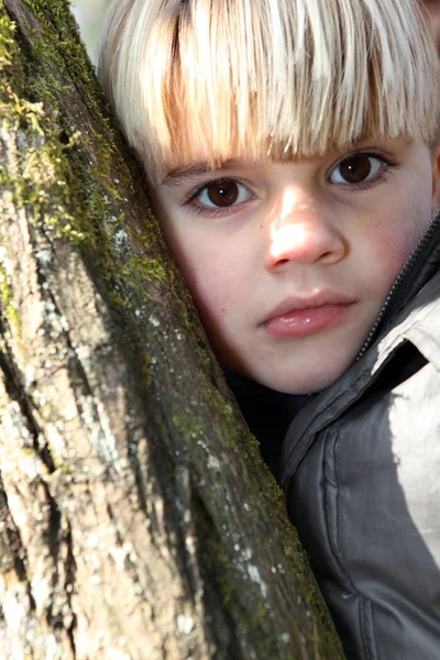 Jeune garçon étreignant un arbre — Photo