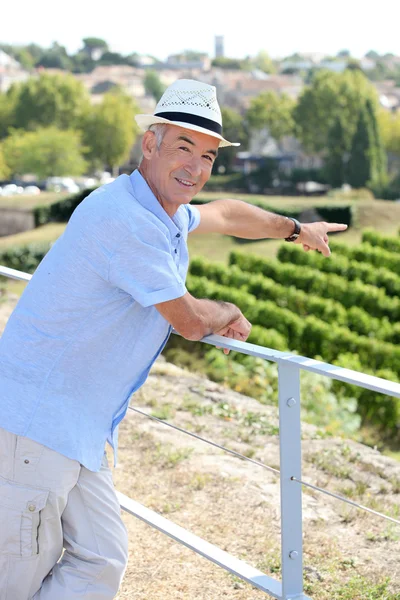 Homme en vacances pointant vers le vignoble — Photo
