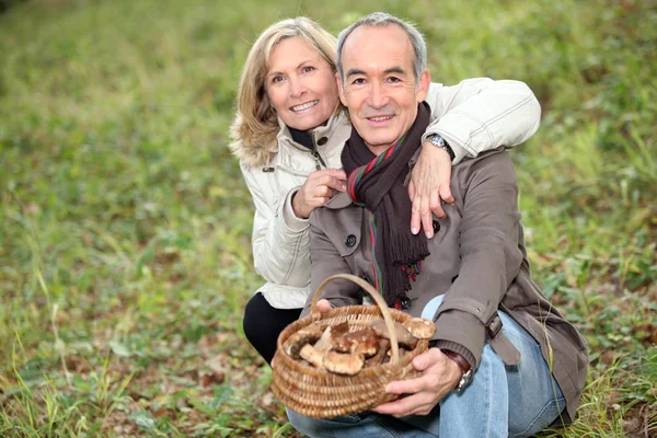 Seniorenpaar sammelt Pilze im Wald — Stockfoto