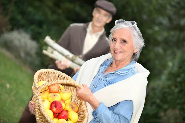 Elderly couple collecting objects in the forest — Stock Photo, Image