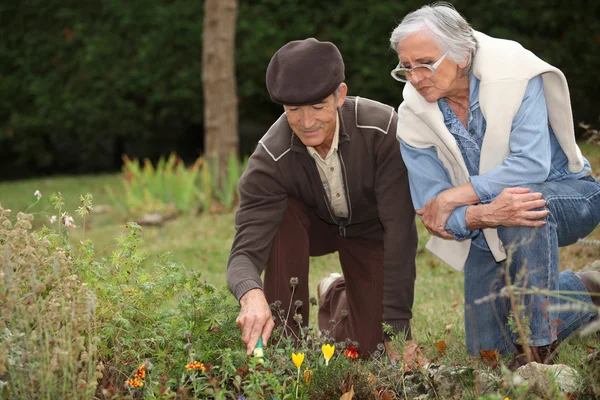 年配のカップルの園芸 — ストック写真