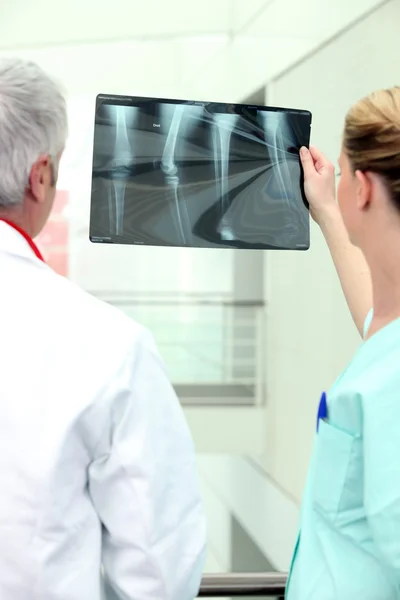 Two colleagues looking at x-ray — Stock Photo, Image