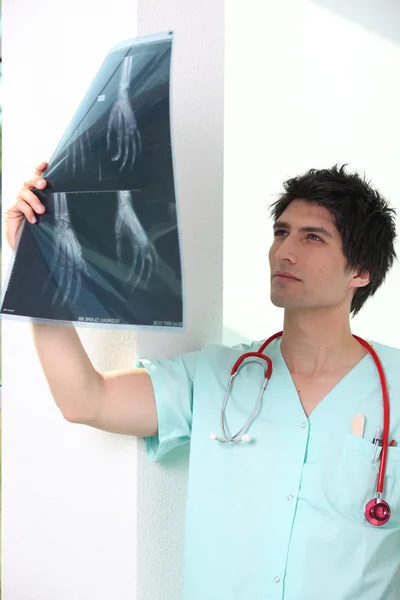 Manliga sjuksköterska håller upp röntgenbilden — Stockfoto