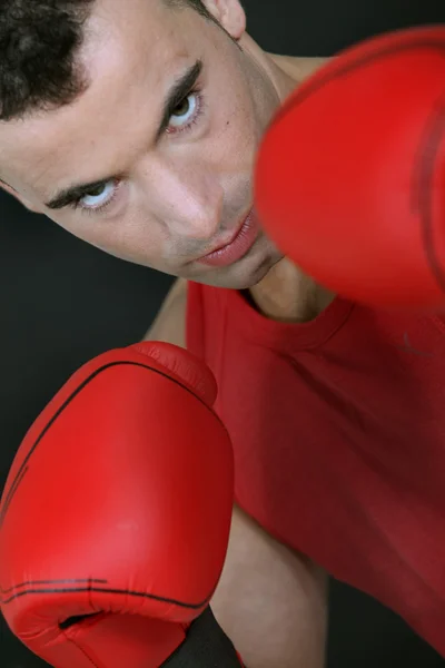 Kötü görünümlü boksör ile yastıklı eldivenlerini — Stok fotoğraf