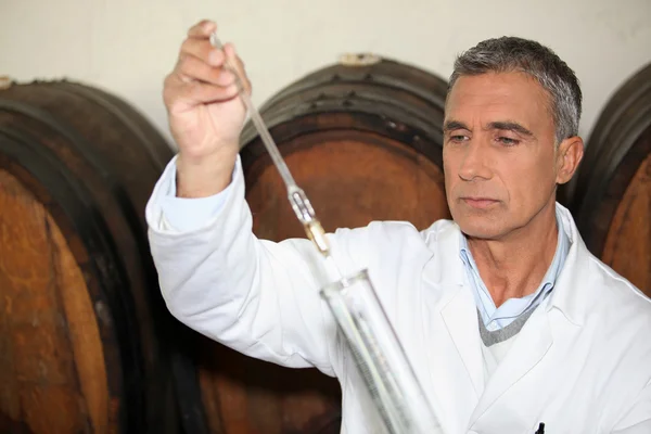 Ekspert Dokonywanie badań w piwnicy winiarskiej — Zdjęcie stockowe