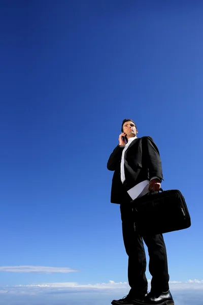 Businessman with briefcase and mobile — Stock Photo, Image