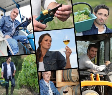 Viticulture themed collage clipart