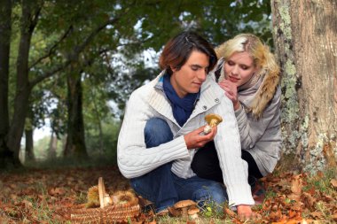 Couple picking mushrooms in a forest clipart