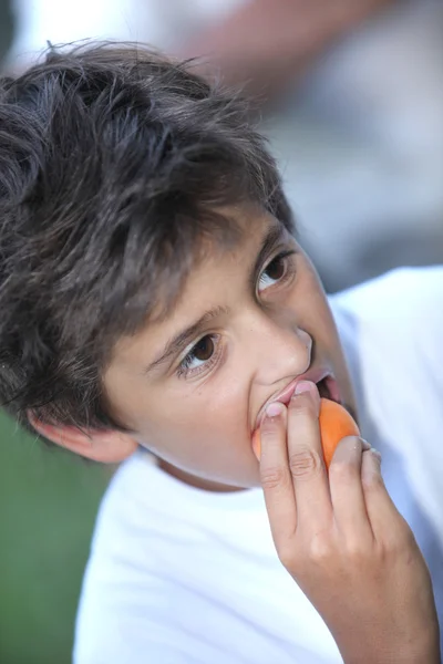 Мальчик с абрикосом — стоковое фото