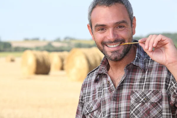 Bir alandaki bir saman çiğneme çiftçi — Stok fotoğraf