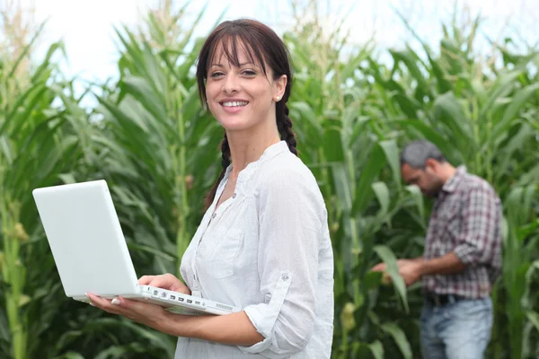 Жінка використовує свій ноутбук у полі посівів — стокове фото