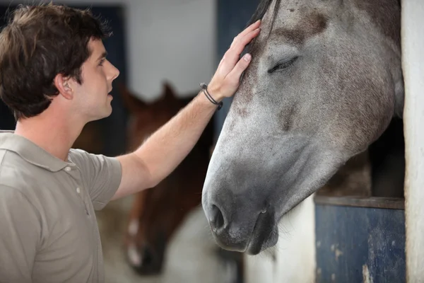 A man with his horse — Stock Photo, Image