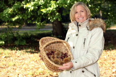 Woman gathering chestnuts clipart