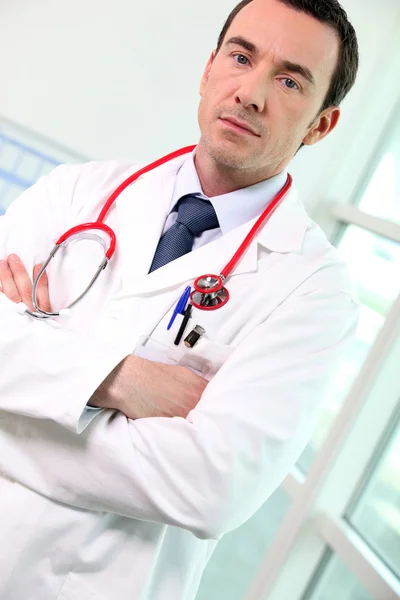 Portrait of male doctor — Stock Photo, Image