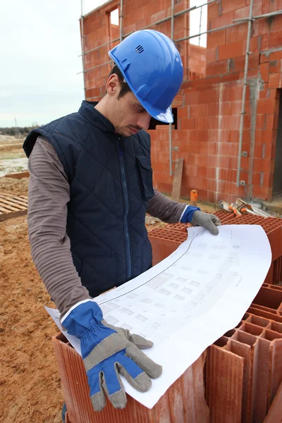 Builder undersöka planer — Stockfoto