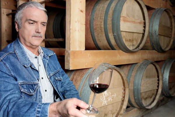 Muž ochutnávka vína ve sklepě — Stock fotografie
