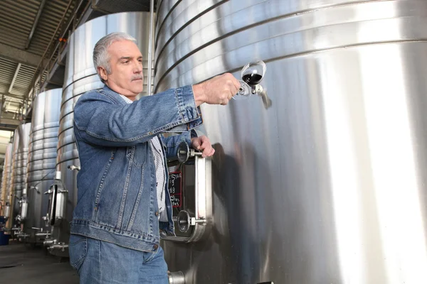 Producentów wina stał przez zbiorniki — Zdjęcie stockowe