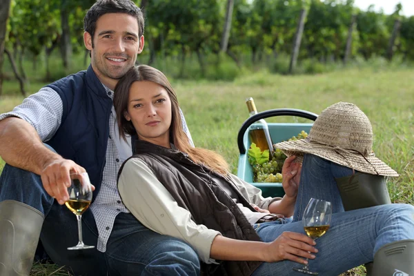 Paar drinken van wijn in een wijngaard — Stockfoto