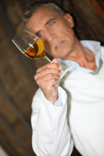 Weinexperte macht Tests im Keller — Stockfoto