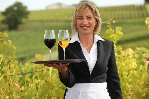 Mulher que serve vinho tinto e branco em uma vinha — Fotografia de Stock