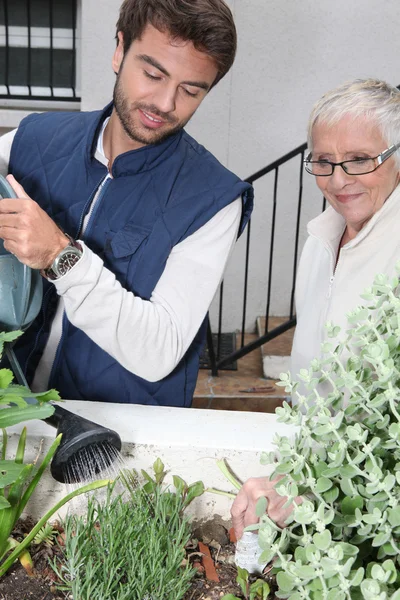 Young man and older woman watering plants — Stock Photo, Image