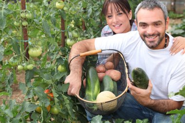 Couple growing vegetables clipart