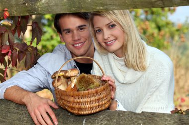 Duo behind a hedge clipart