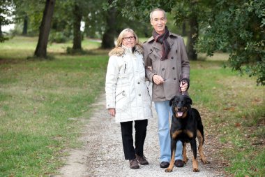 A 60 years old woman holding husband's arm in a park in autumn, the m clipart