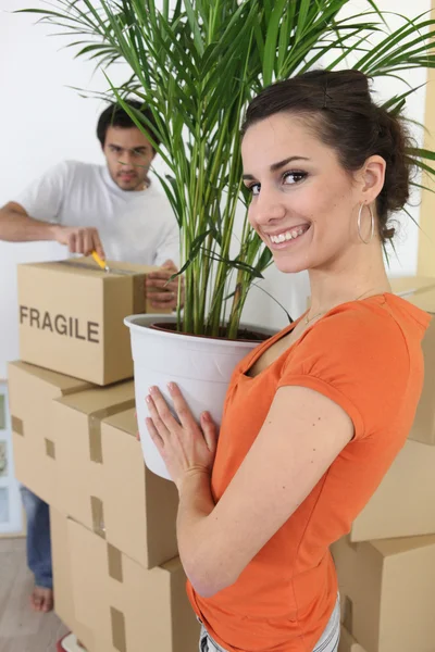 Couple moving plant into home — Stock Photo, Image
