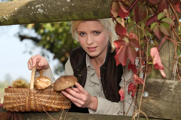 Mladá žena z lesa s houbami — Stock fotografie