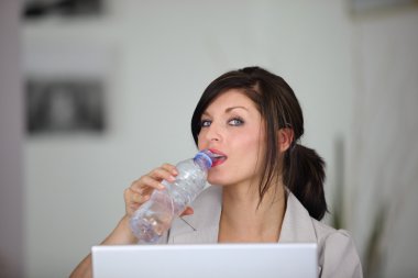 Portrait of classy brunette working on laptop with bottle of water clipart