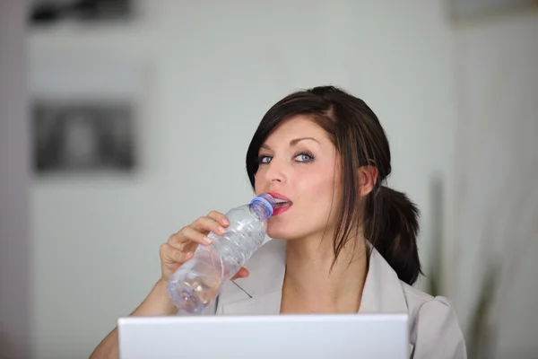 Portrait of classy brunette working on laptop with bottle of water — Stock Photo, Image