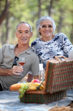 Senior couple enjoying a picnic clipart