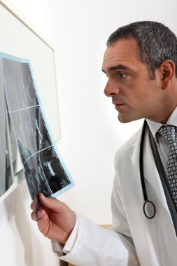 Doctor examining x-ray clipart