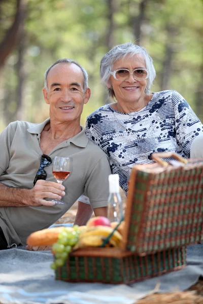 Coppia anziana godendo di un picnic — Foto Stock
