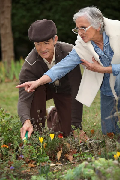 Ouderen paar tuinieren — Stockfoto