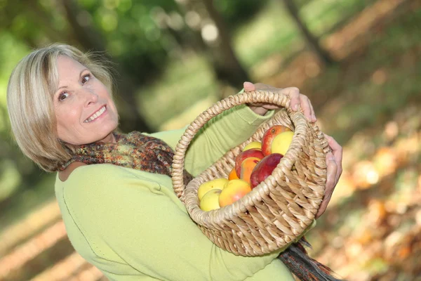 Kobieta zbieranie jabłek — Zdjęcie stockowe