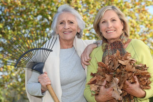 Madre e figlia che raccolgono foglie — Foto Stock