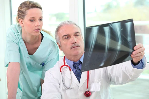 2 つの医師が x 線画像の検討 — ストック写真