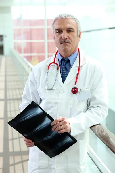 Doctor holding a radiology image — Stock Photo, Image
