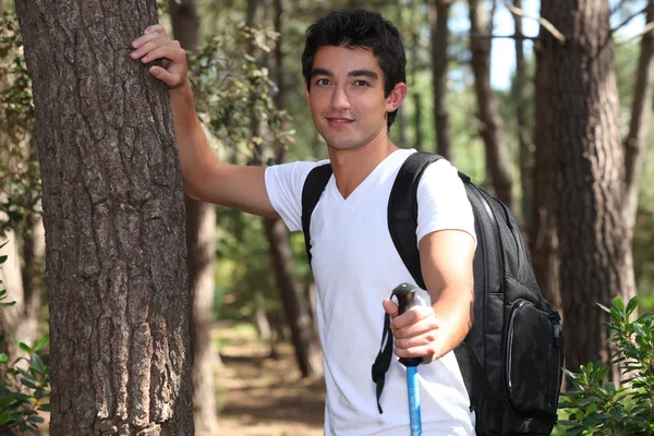 Молодой человек, путешествующий по сосновому лесу — стоковое фото