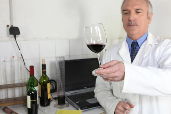 Энолог осматривает бокал вина — стоковое фото