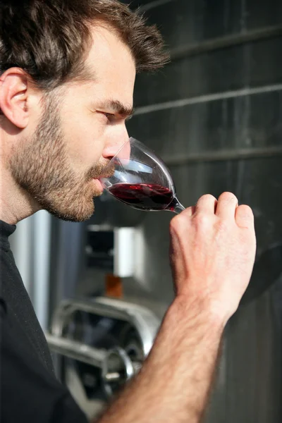 Degustación de vino hombre —  Fotos de Stock