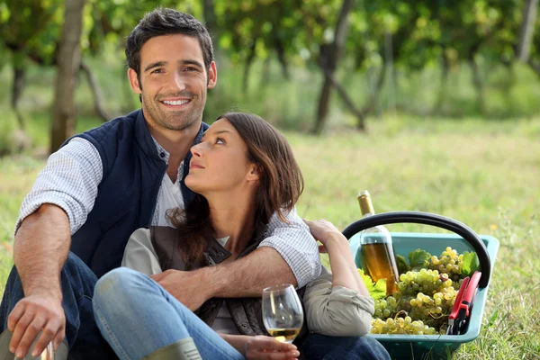 Homem e mulher românticos colhendo uvas e bebendo vinho — Fotografia de Stock