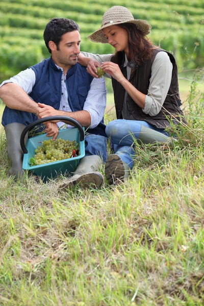 Couple of grape pickers sat on the grass — Stock Photo, Image