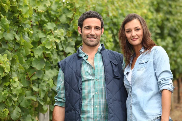 Paar staande in het midden van de wijngaarden — Stockfoto