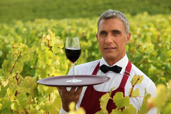 Άνθρωπος που εξυπηρετούν ένα ποτήρι κόκκινο κρασί στη μέση ενός αμπελώνα — Φωτογραφία Αρχείου