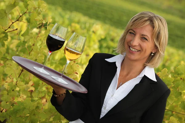 Официантка с красным и белым вином в винограднике — стоковое фото